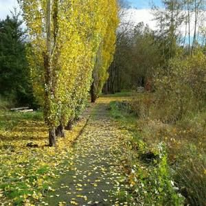 Meet your Posher, Amna